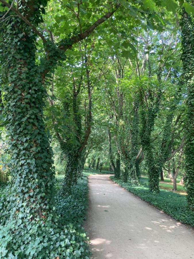 Green Park Inn Downtown وارسو المظهر الخارجي الصورة